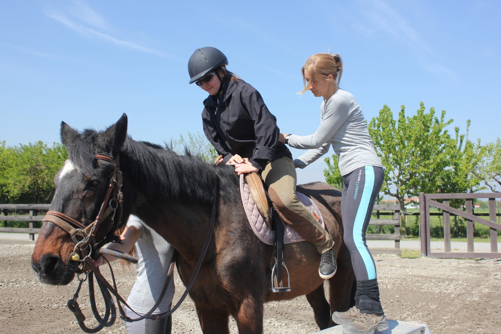 The benefits of equine therapy